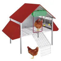 Eco - Ponedero para Gallinas