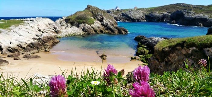 Playa Arenal del Jortín (Bezana, Cantabria)