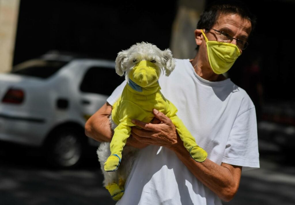 Abandono de animales durante el COVID19